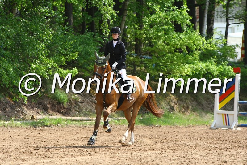 104M6349_Aristokrat W_Stil_A.JPG